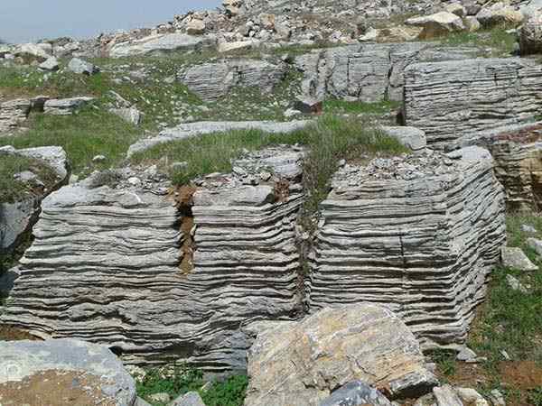 千层石、线条流畅