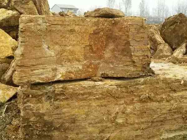 千层石、免费安装