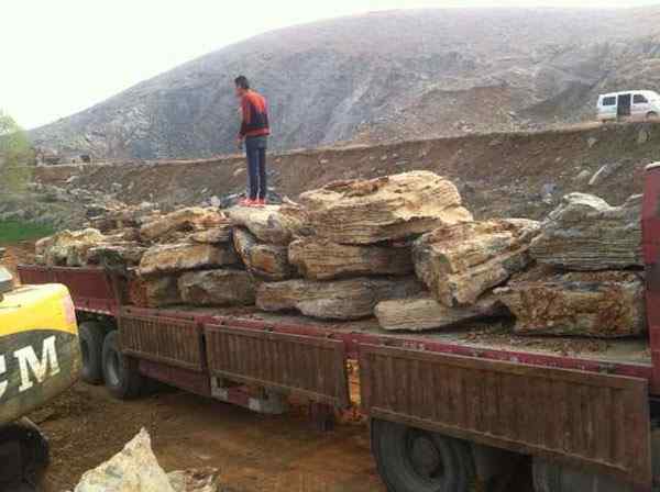 千层石、自然光洁