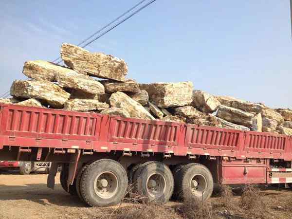 千层石、自然光洁