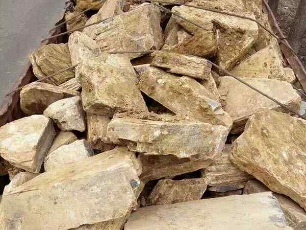 千层石、线条流畅