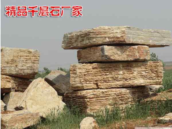 千层石、线条流畅