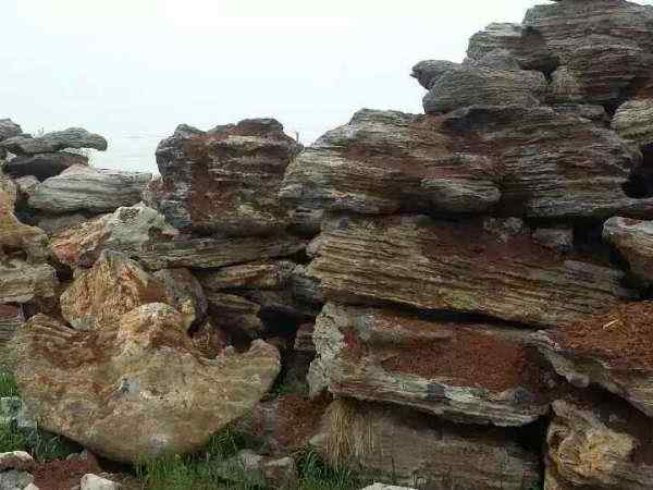 千层石、线条流畅