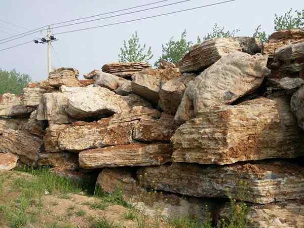 千层石、线条流畅