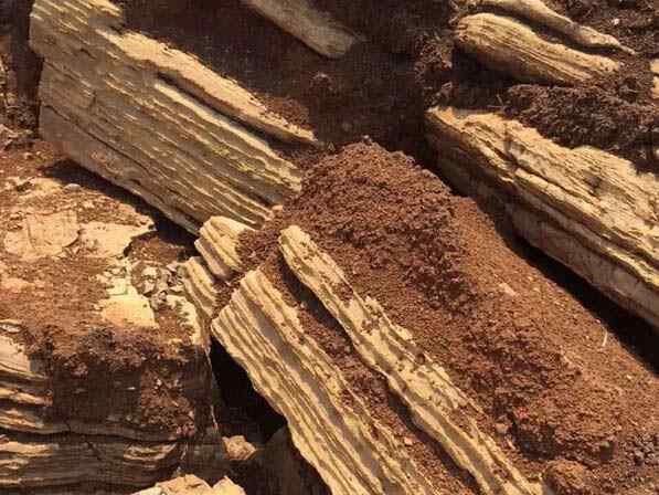 千层石、纹理清晰