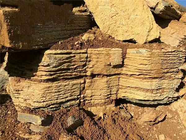 千层石、纹理清晰