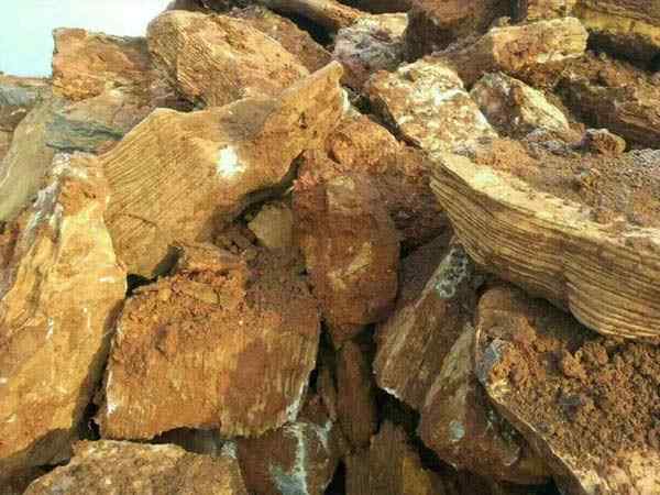 千层石、石质坚硬