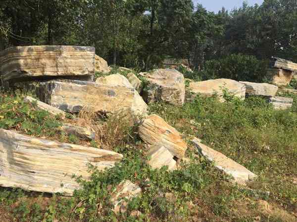 千层石、免费安装