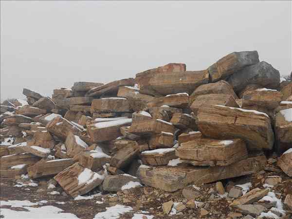 千层石、变化多端