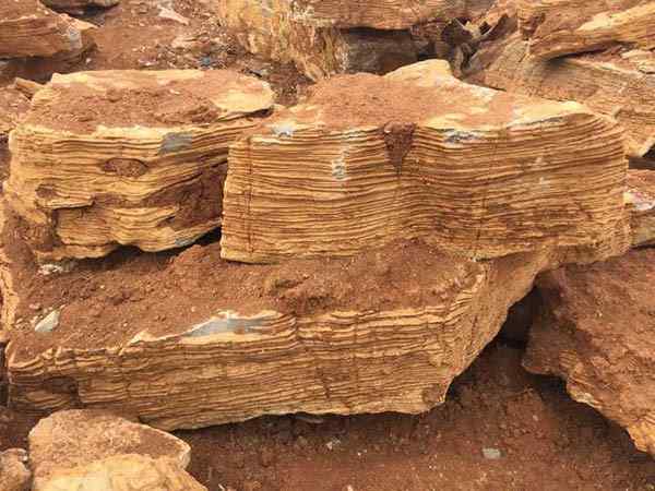 千层石、变化多端