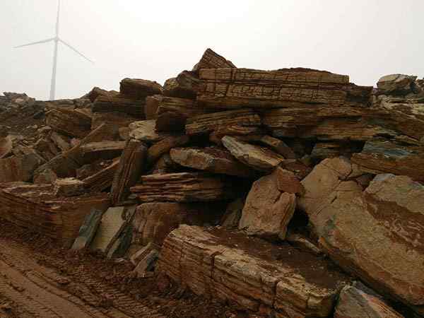 千层石、变化多端