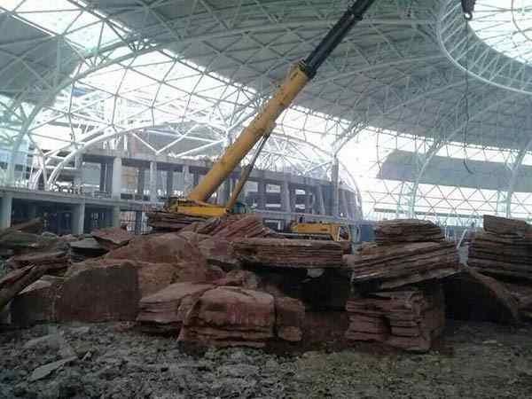 千层石、基地直销