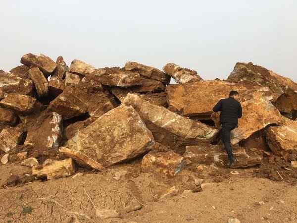 千层石、品类齐全