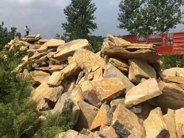 千层石、品类齐全