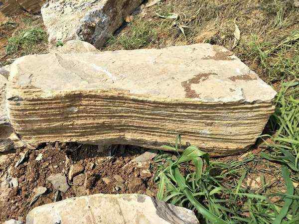 千层石、品类齐全