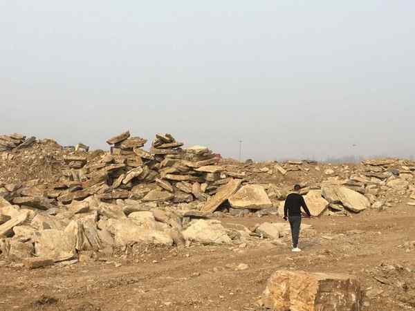 千层石、薄利多销