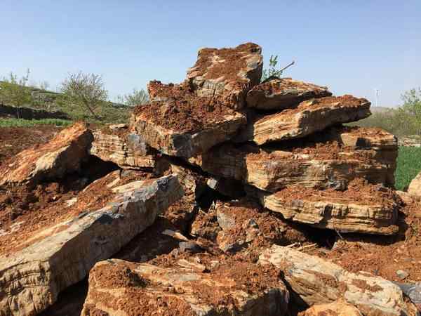 千层石、薄利多销