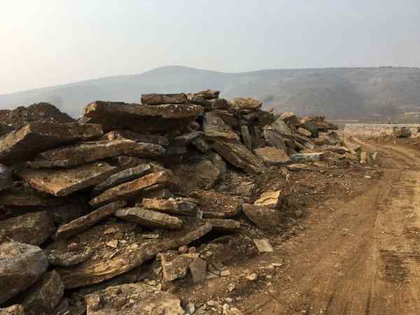 千层石、薄利多销