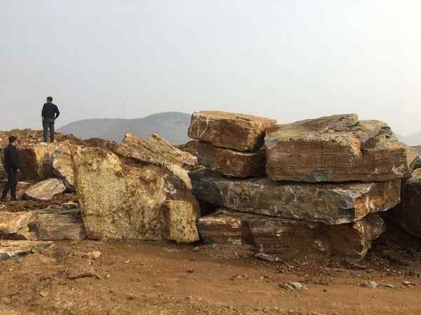 千层石、薄利多销