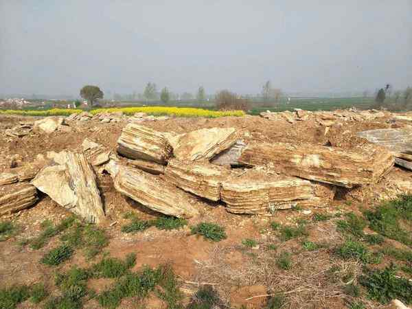 千层石、资源丰富