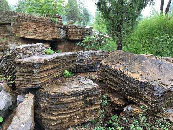 千层石、资源丰富