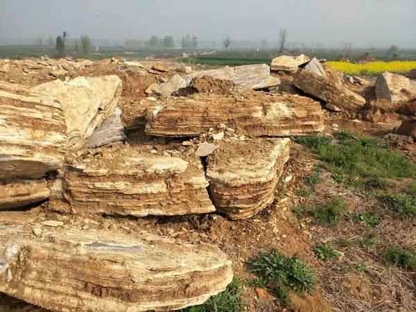 千层石、资源丰富