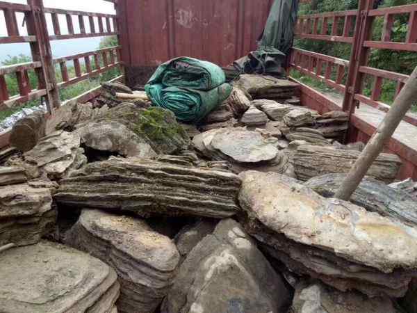 千层石、自然天成