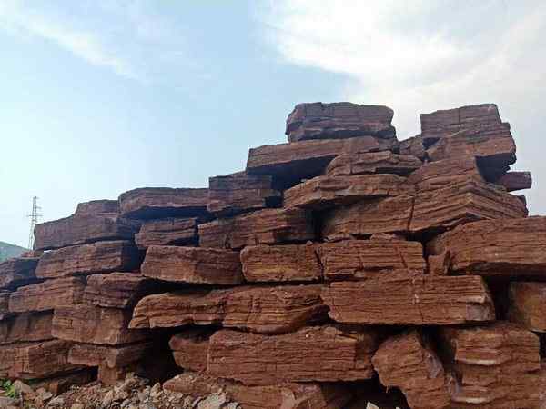 千层石、免费设计