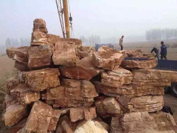 千层石、免费设计