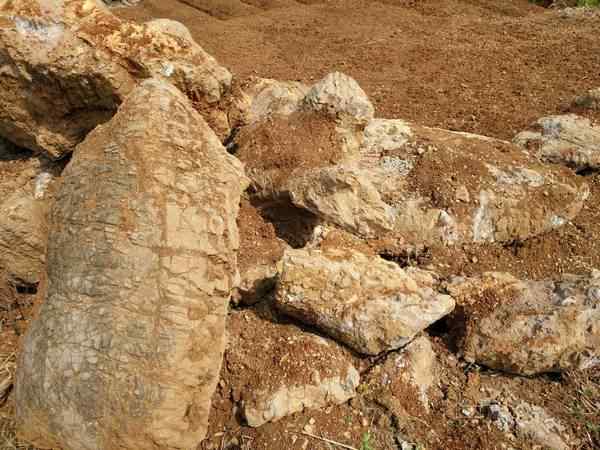 龟纹石、石材丰富