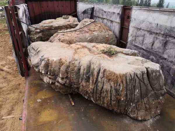 龟纹石、基地直销