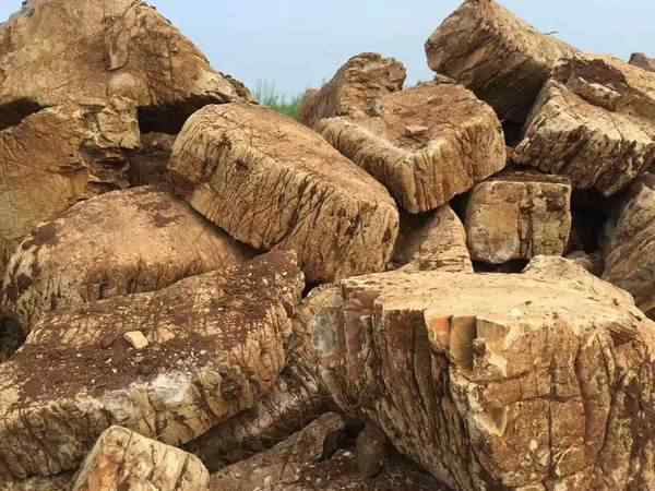 龟纹石、网上价优