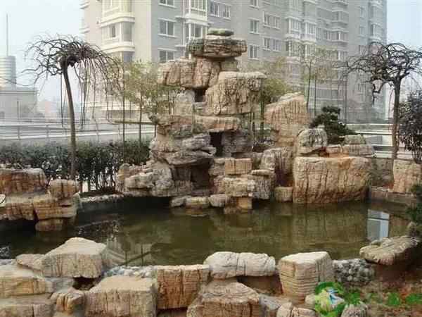 龟纹石、网上价优