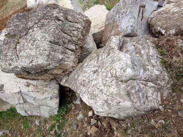 龟纹石、网上价优