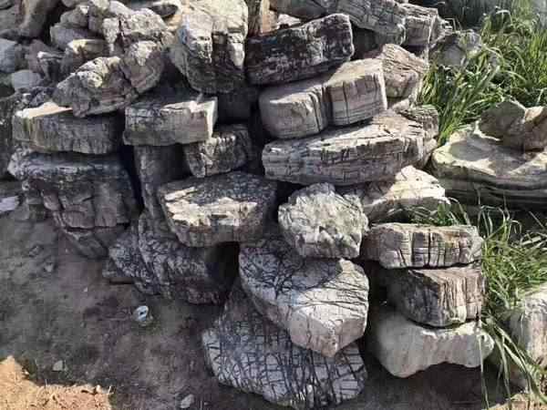 龟纹石、网上价优