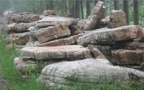 龟纹石、自主开发