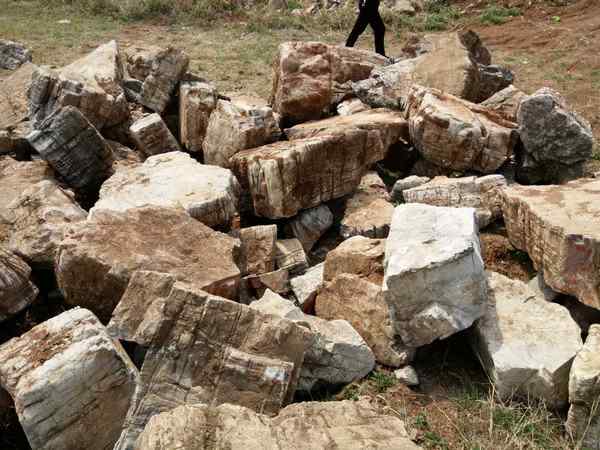 龟纹石、自主开发