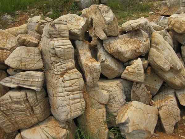 龟纹石、自主开发