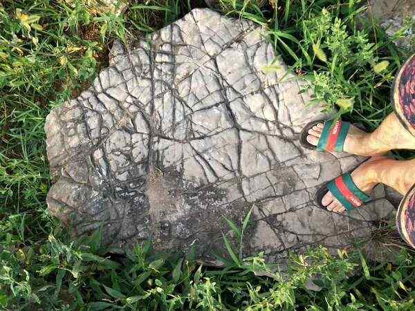 龟纹石、免费安装