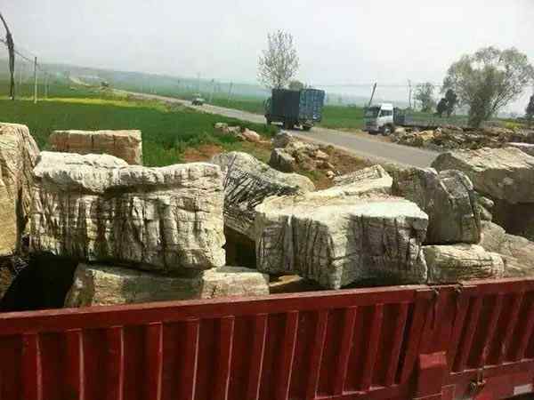 龟纹石、造型奇特