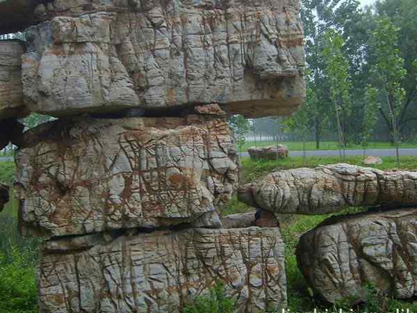 龟纹石、造型奇特