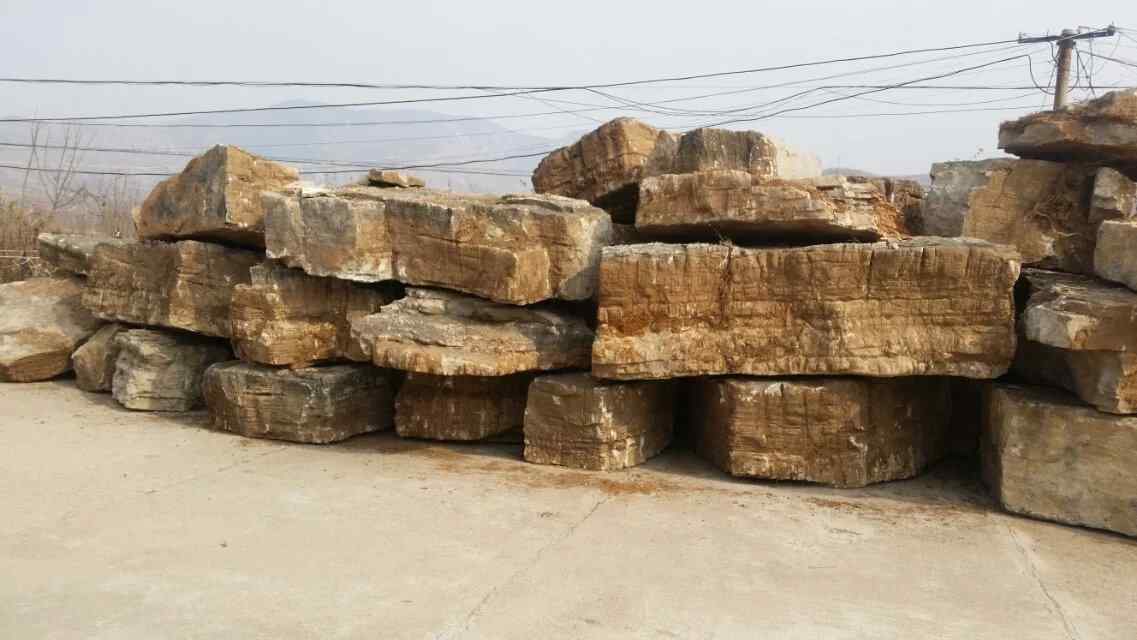 龟纹石、造型奇特