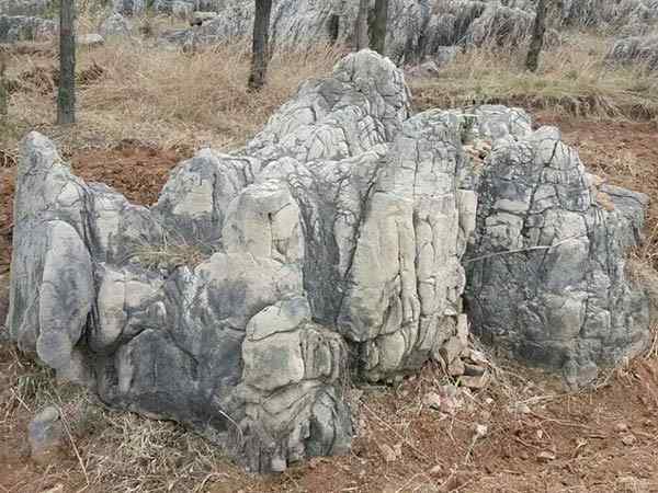 龟纹石、造型奇特