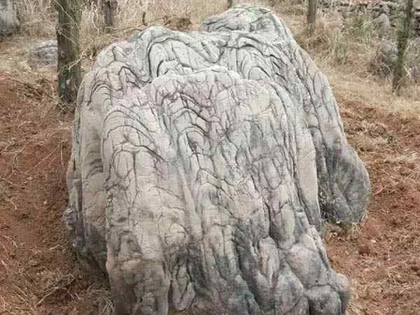 龟纹石、美观大方