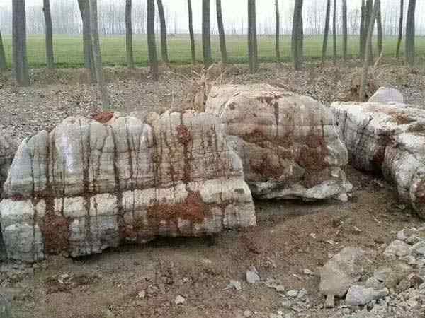 龟纹石、美观大方