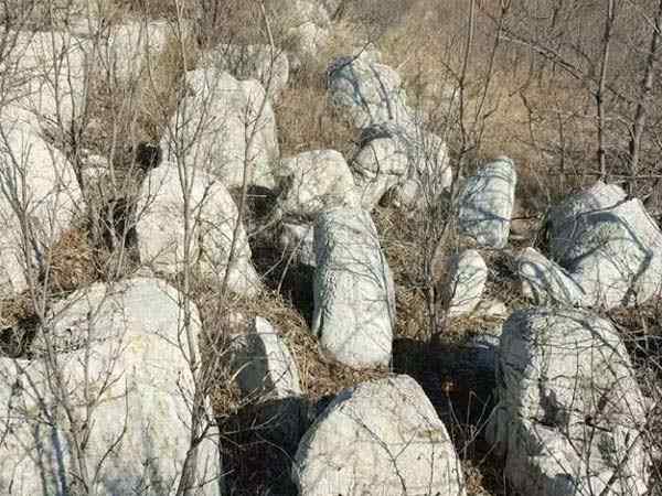 龟纹石、量大价优