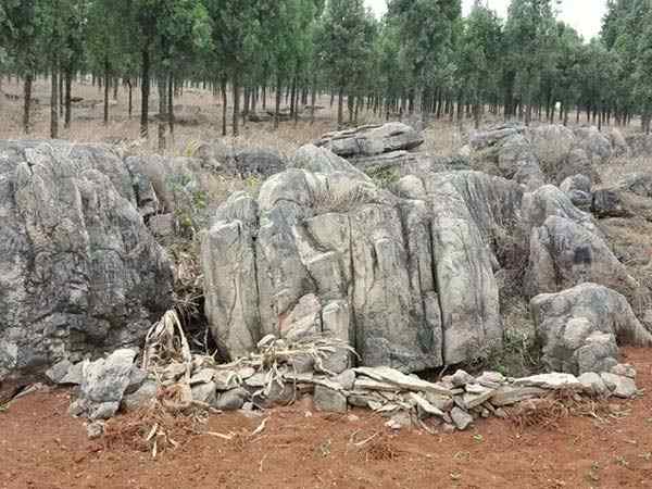 龟纹石、量大价优