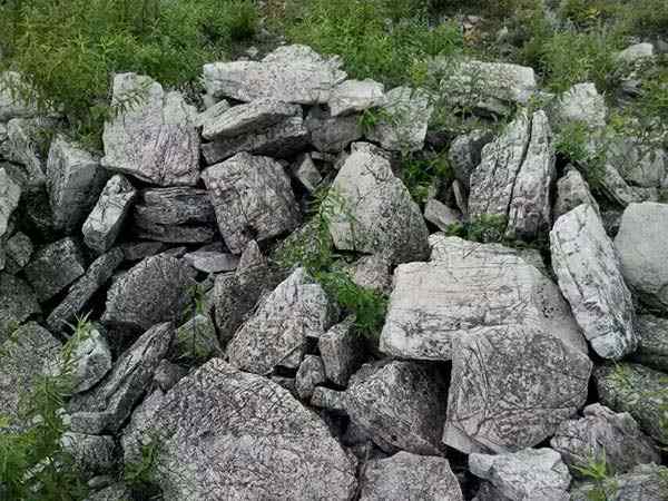 龟纹石、量大价优