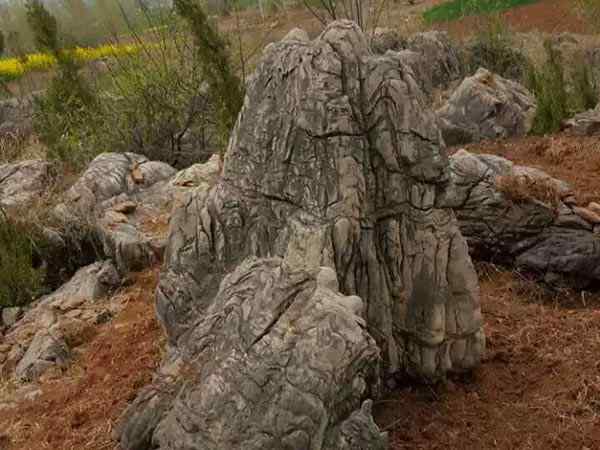 龟纹石、古朴苍穹