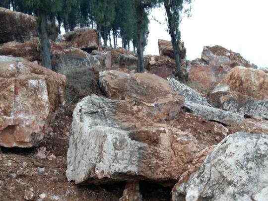 龟纹石、石质优良